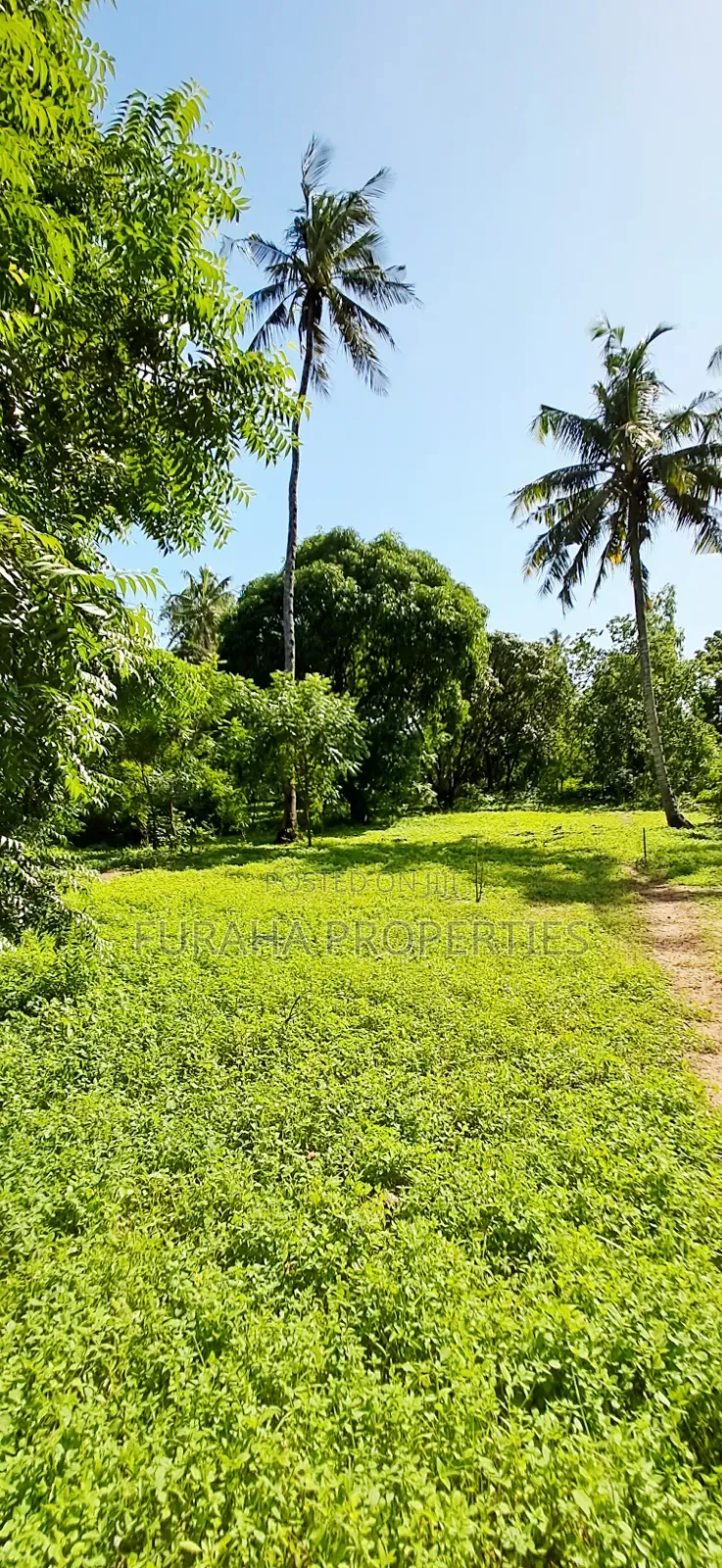 For Sale 1/8 Acre Plots Gated Mtwapa