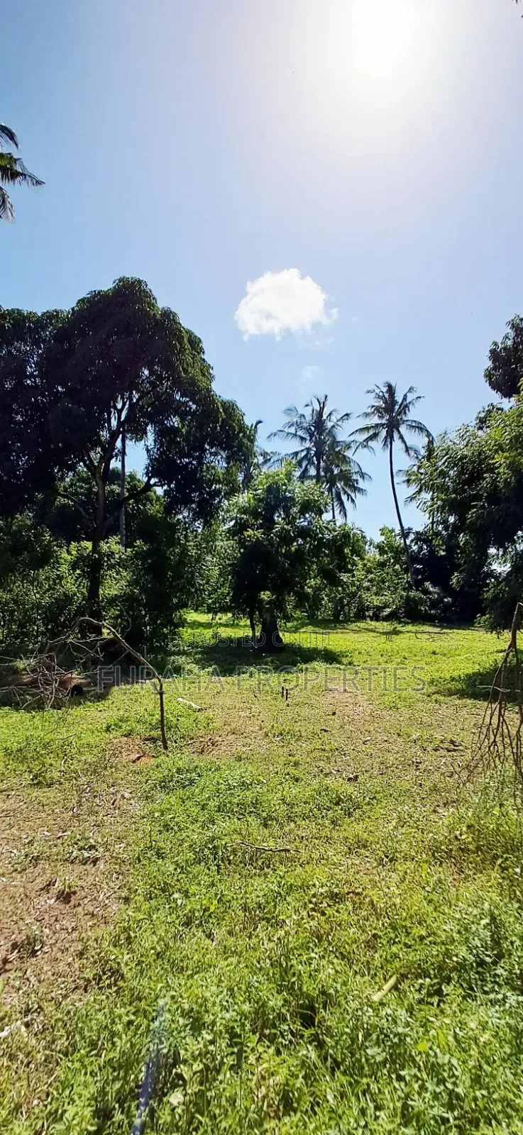 For Sale 1/8 Acre Plots Gated Mtwapa