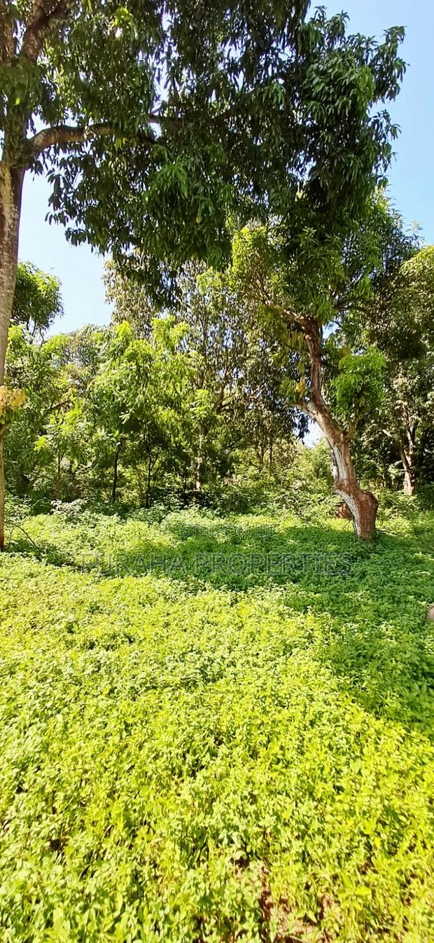 For Sale 1/8 Acre Plots Gated Mtwapa - thumbnail 6