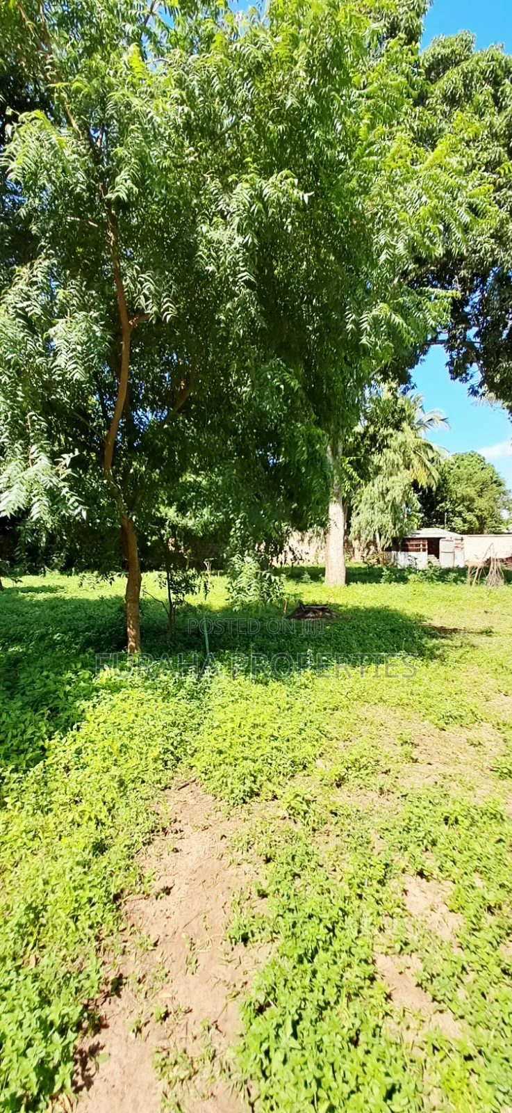 For Sale 1/8 Acre Plots Gated Mtwapa