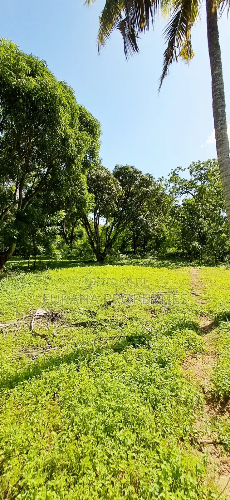 For Sale 1/8 Acre Plots Gated Mtwapa