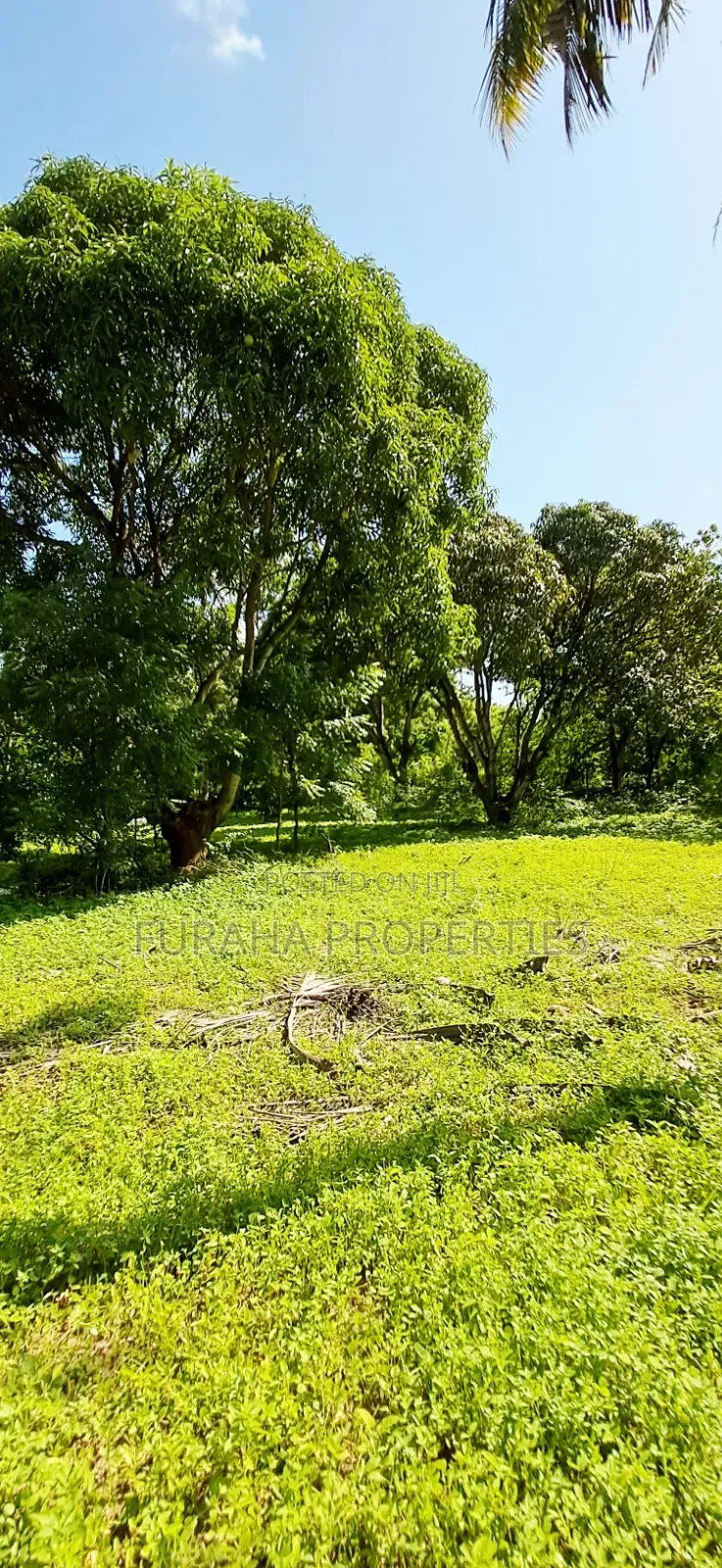 For Sale 1/8 Acre Plots Gated Mtwapa