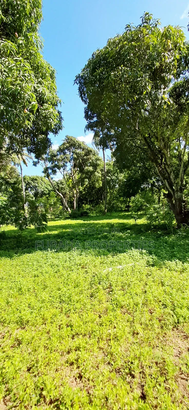 For Sale 1/8 Acre Plots Gated Mtwapa