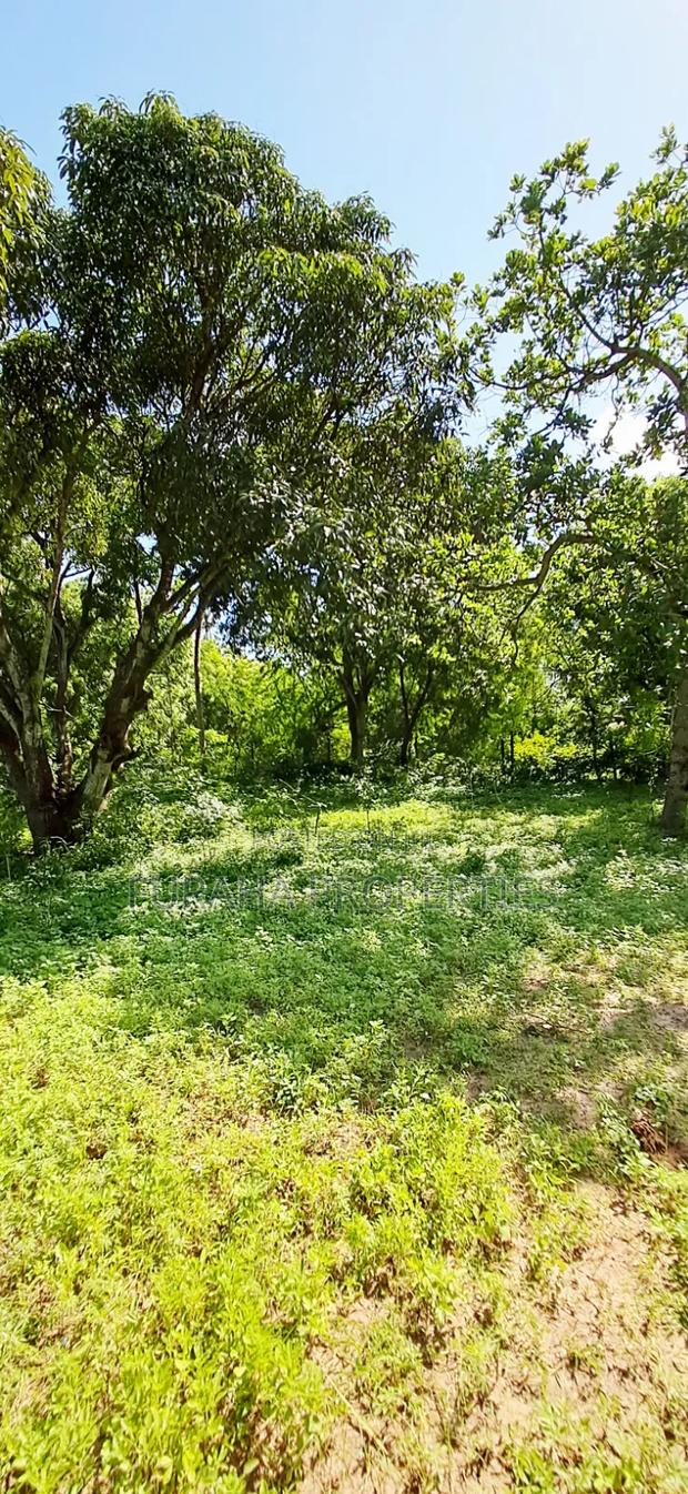 For Sale 1/8 Acre Plots Gated Mtwapa - thumbnail 11