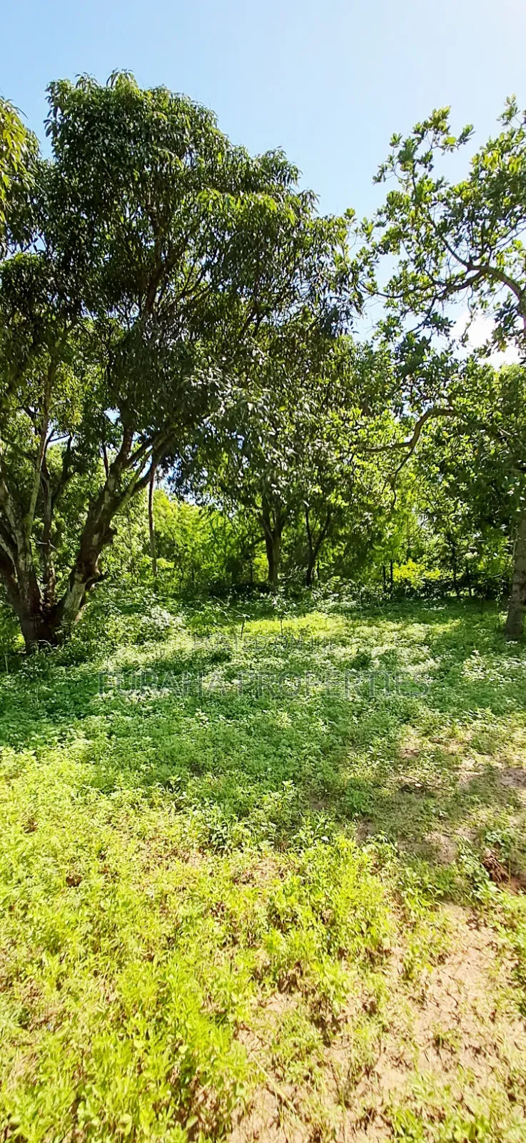 For Sale 1/8 Acre Plots Gated Mtwapa