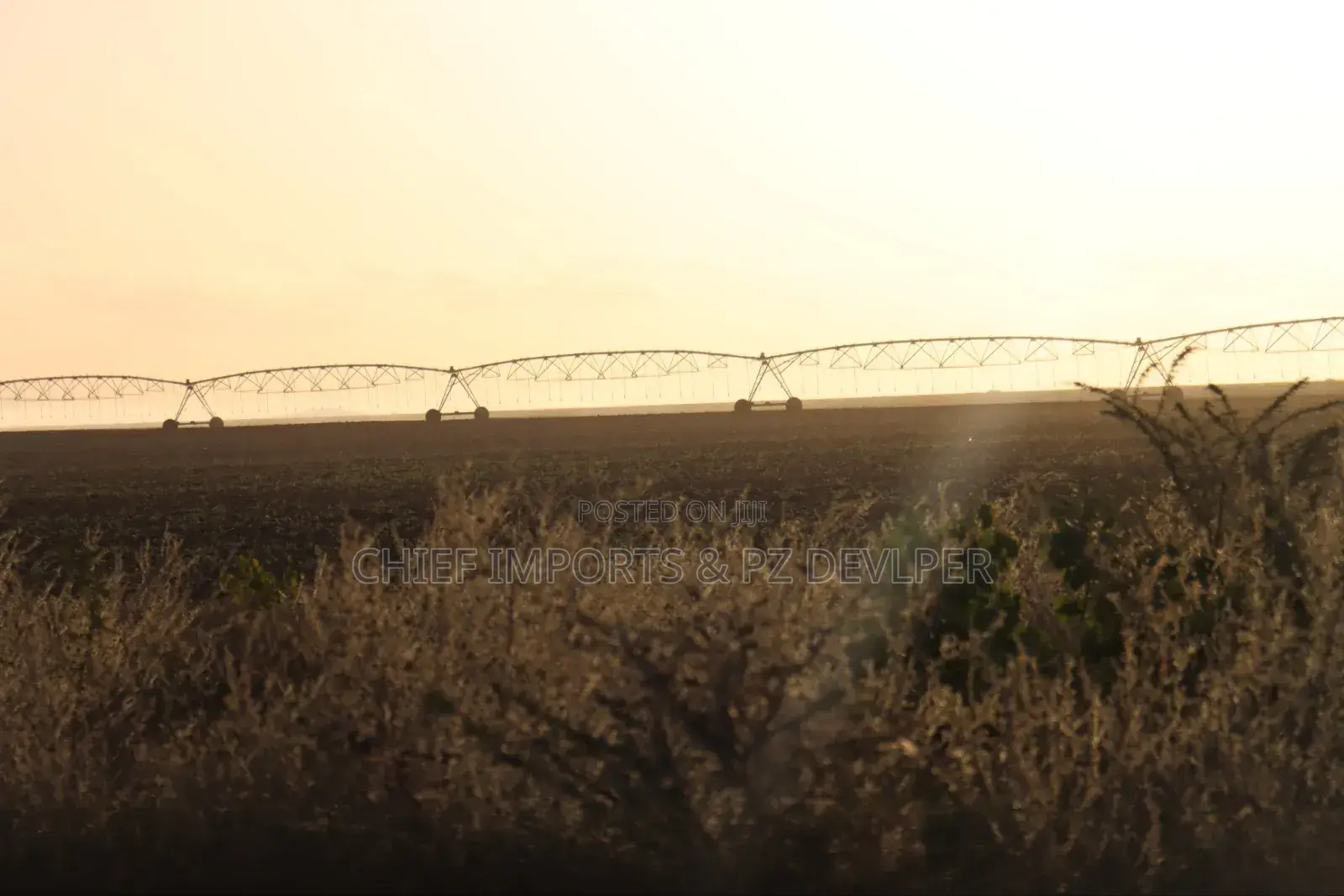 5 Acres Agricultural Land on Urgent Sale