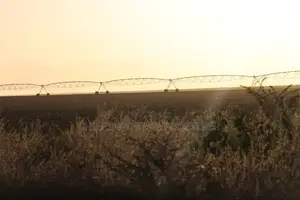 5 Acres Agricultural Land on Urgent Sale