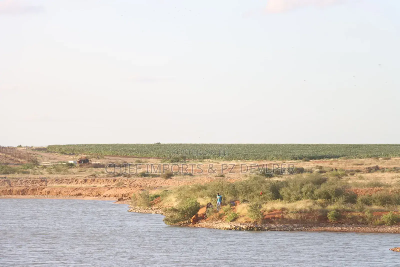 5 Acres Agricultural Land on Urgent Sale