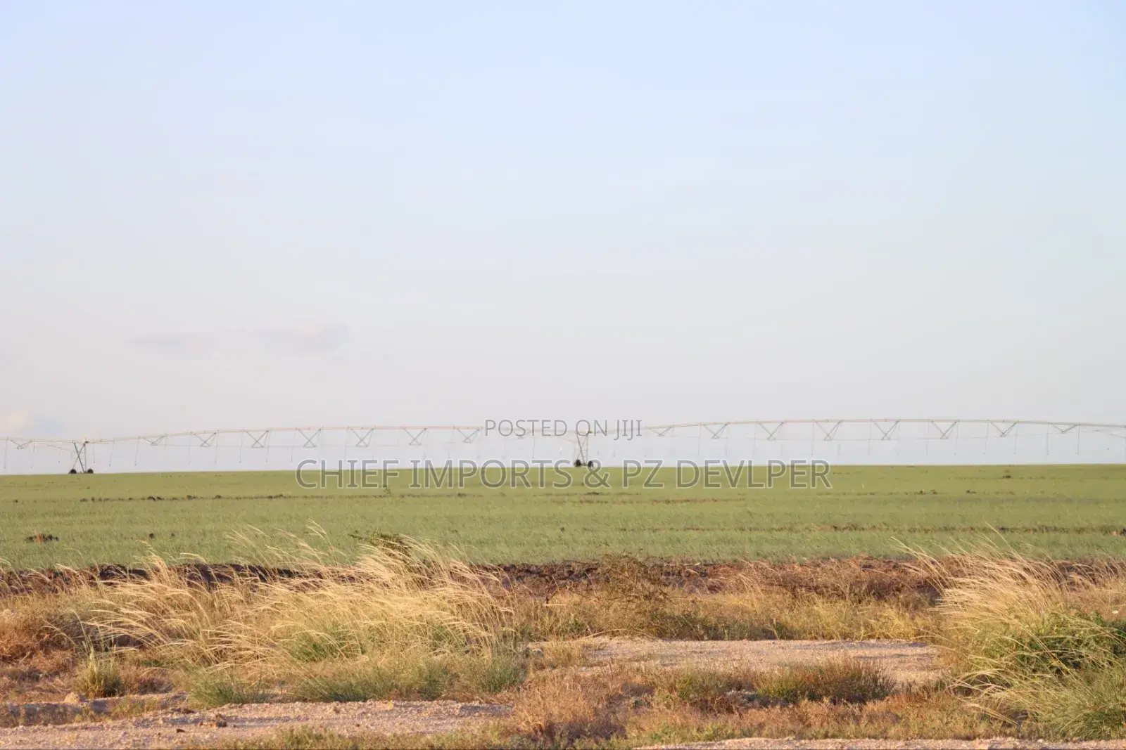 5 Acres Agricultural Land on Urgent Sale