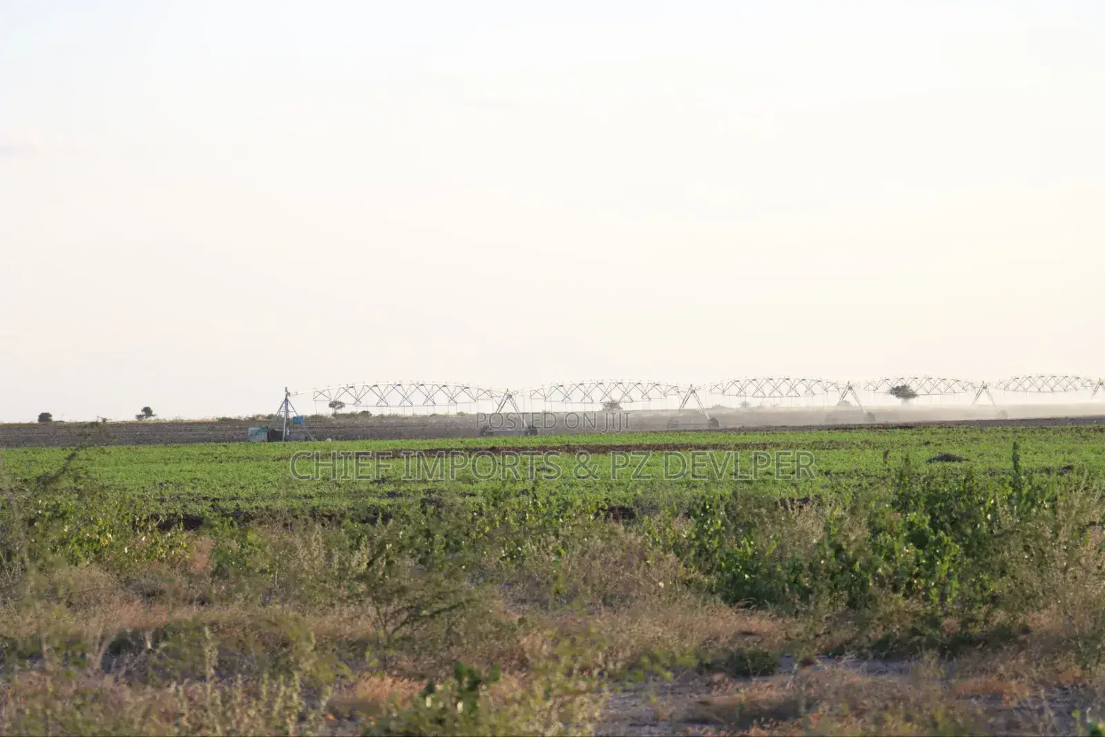 5 Acres Agricultural Land on Urgent Sale