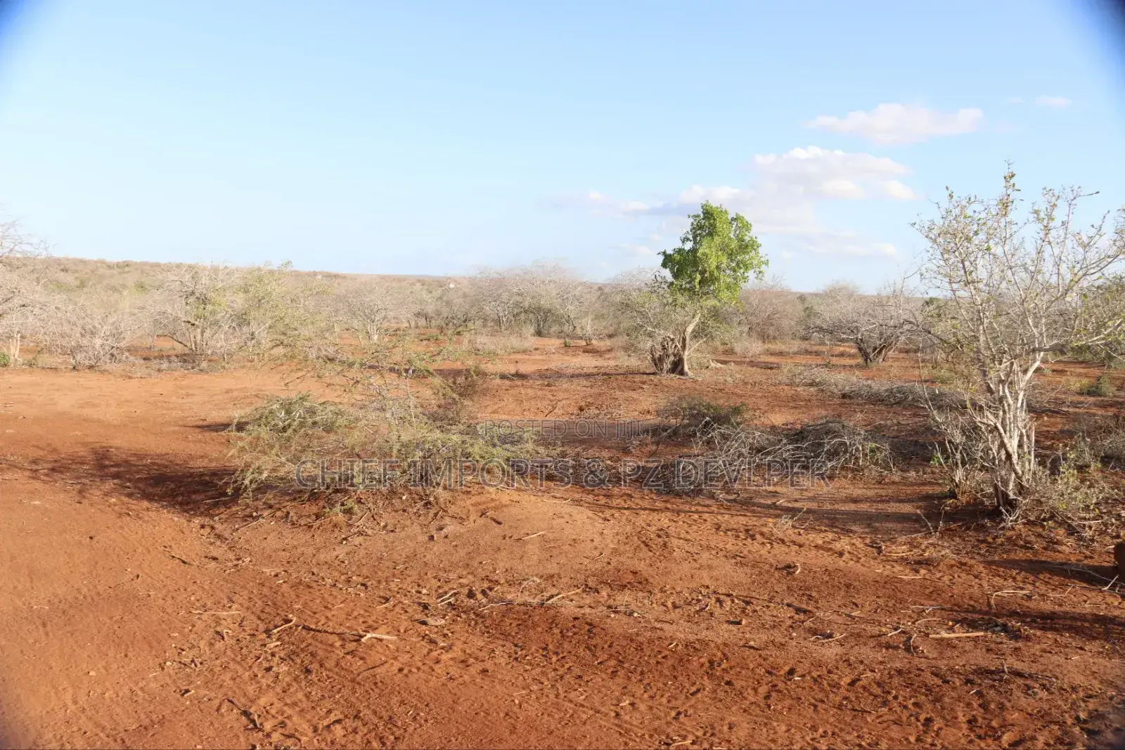 5 Acres Agricultural Land on Urgent Sale