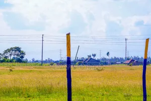 Buy and Build in Muthara. Mm