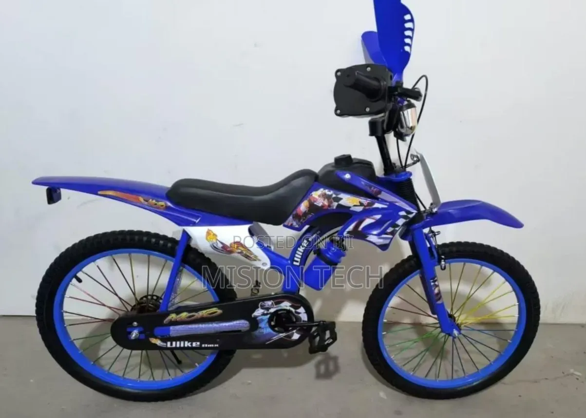 Premier Racing Bike Size 20'