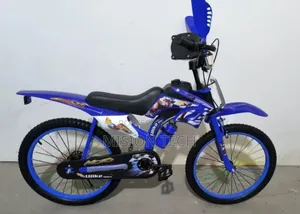 Premier Racing Bike Size 20'