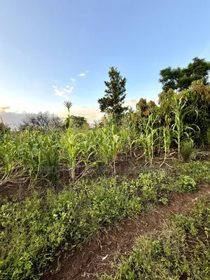 1/4 Acre Plots for Sale in Kinyaga, Kirinyaga County.