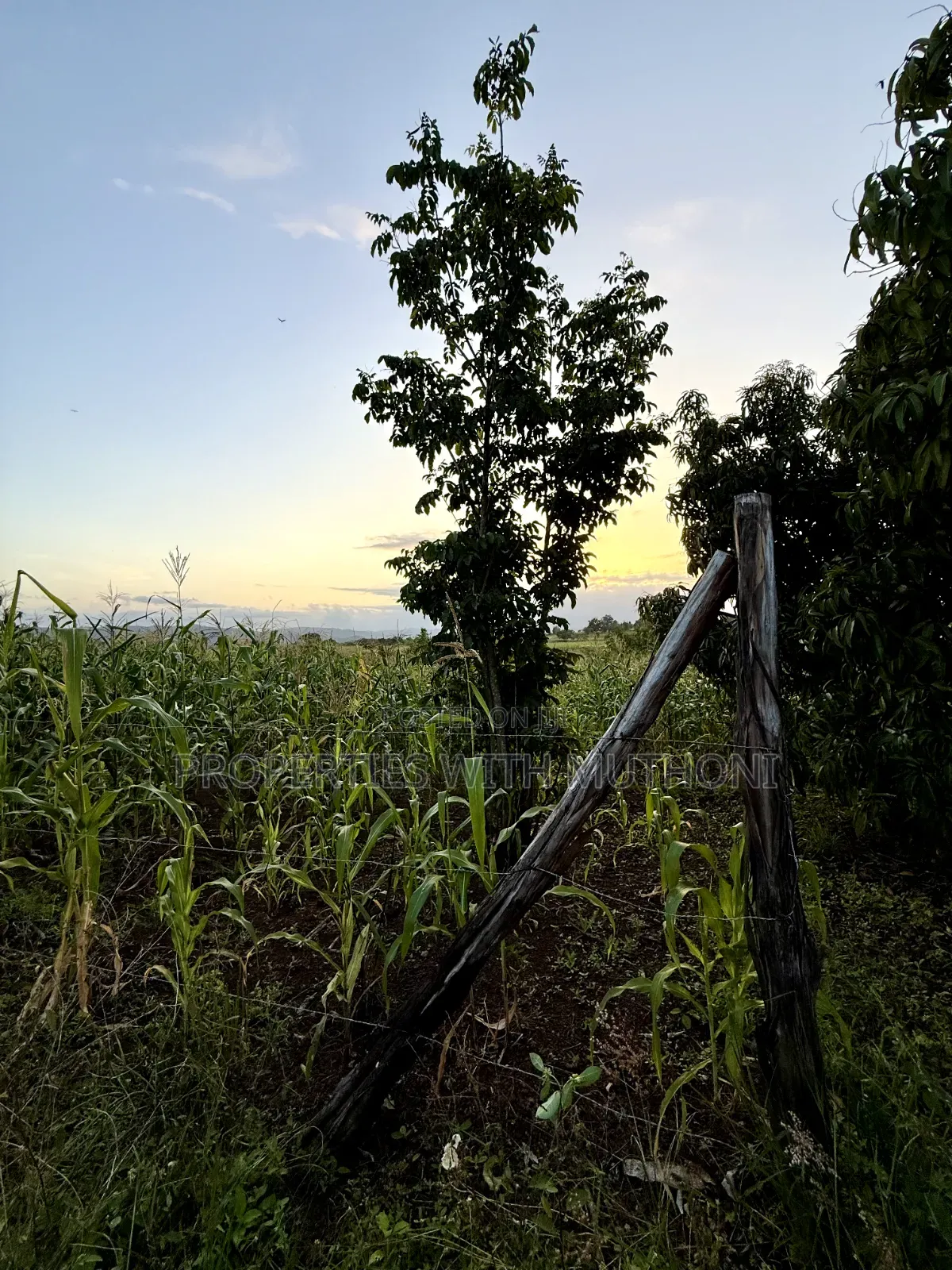 1/4 Acre Plots for Sale in Kinyaga, Kirinyaga County.