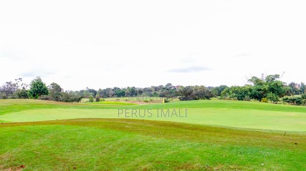 Thika Greens - thumbnail 3