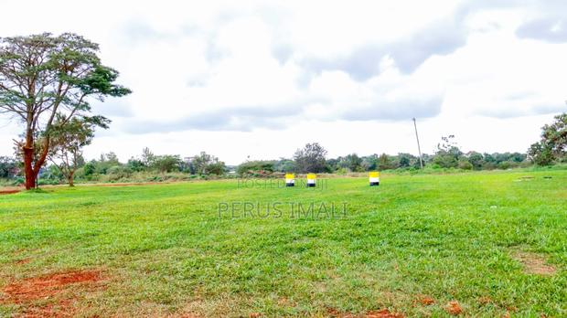 Thika Greens - thumbnail 6