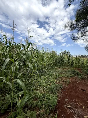 1/8 Acre Plot for Sale in Gatuto Town, Kutus.