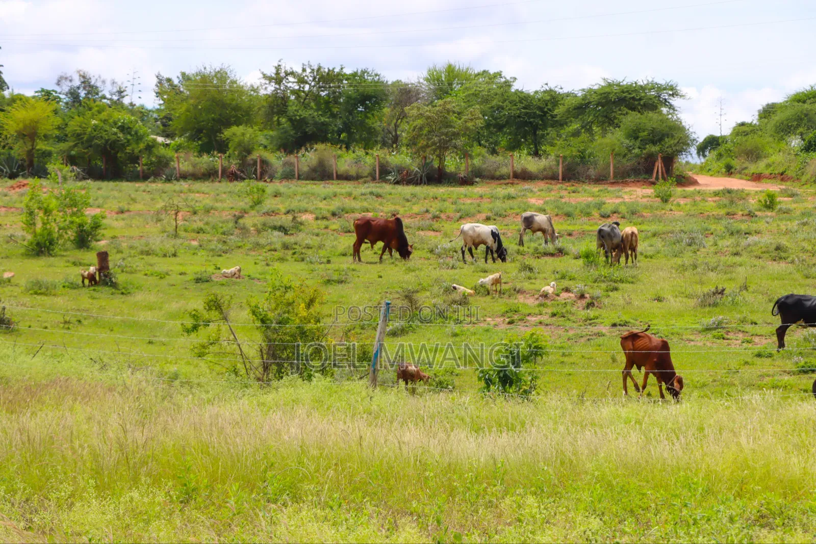 Affordable Plots in Matuu