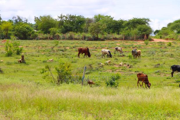 Affordable Plots in Matuu - thumbnail 2