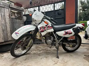 Honda 2010 White