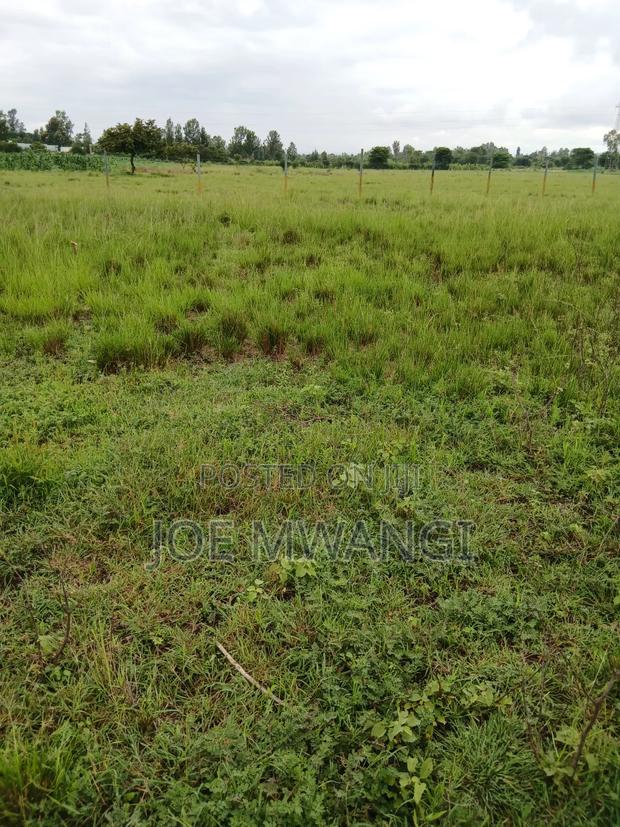 Affordable Plots in Sagana - thumbnail 4