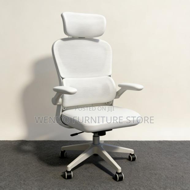 Office Chairs; Ergonomic High Backrest Aero-Flexxy Office Chairs - thumbnail 17