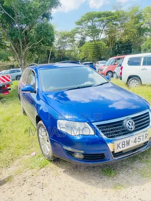 Volkswagen Passat 2007 Blue