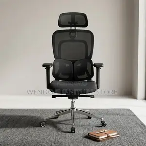 Office Chairs; Orthopedic High Backrest Neemix Office Chairs