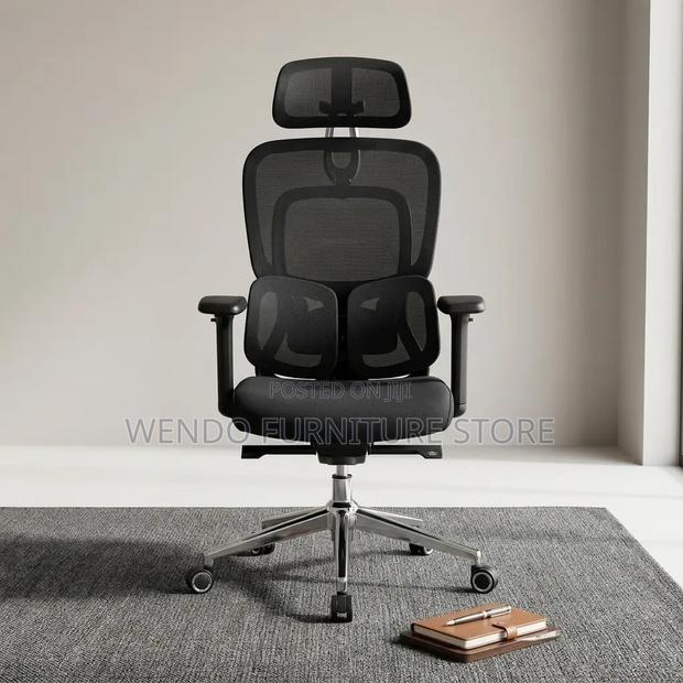 Office Chairs; Orthopedic High Backrest Neemix Office Chairs