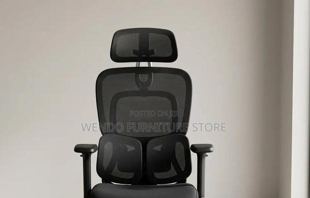 Office Chairs; Orthopedic High Backrest Neemix Office Chairs - thumbnail 4