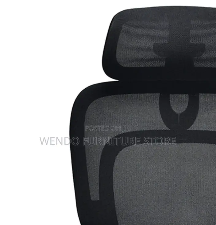 Office Chairs; Orthopedic High Backrest Neemix Office Chairs