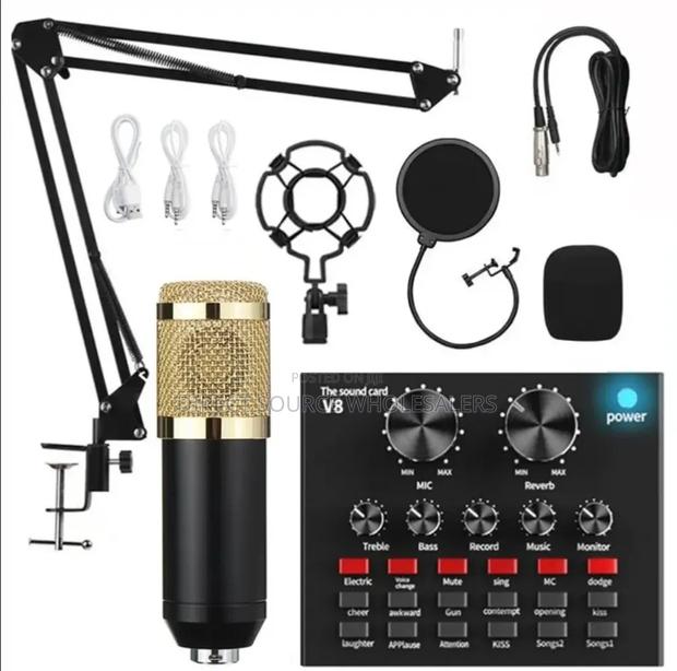 Bm800 Professional Condenser Microphone With V8 Sound Card - main view