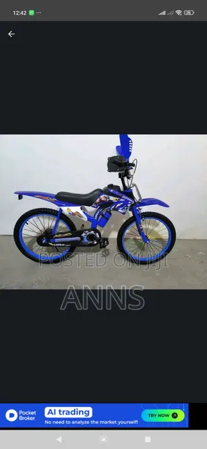 Premier Racing Bike/Bicycle Size 20