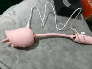 2 in 1 Rose Toy