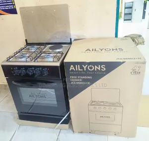 50*55 Ailyons 3+1 Standing Cooker