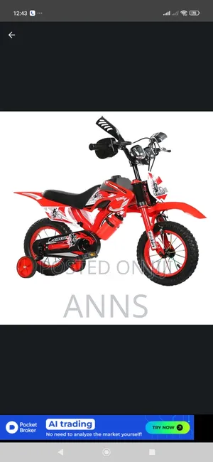 Premier Racing Bike Size 16
