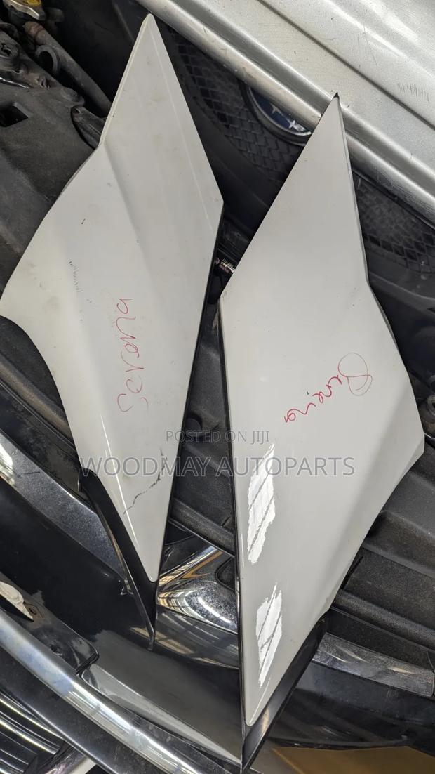 Nissan Serena 2018 Wing Finisher