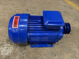 Shaft Motor