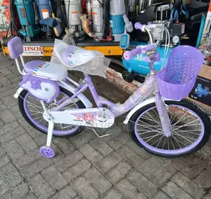Ladygirl Kid Bike Size 18