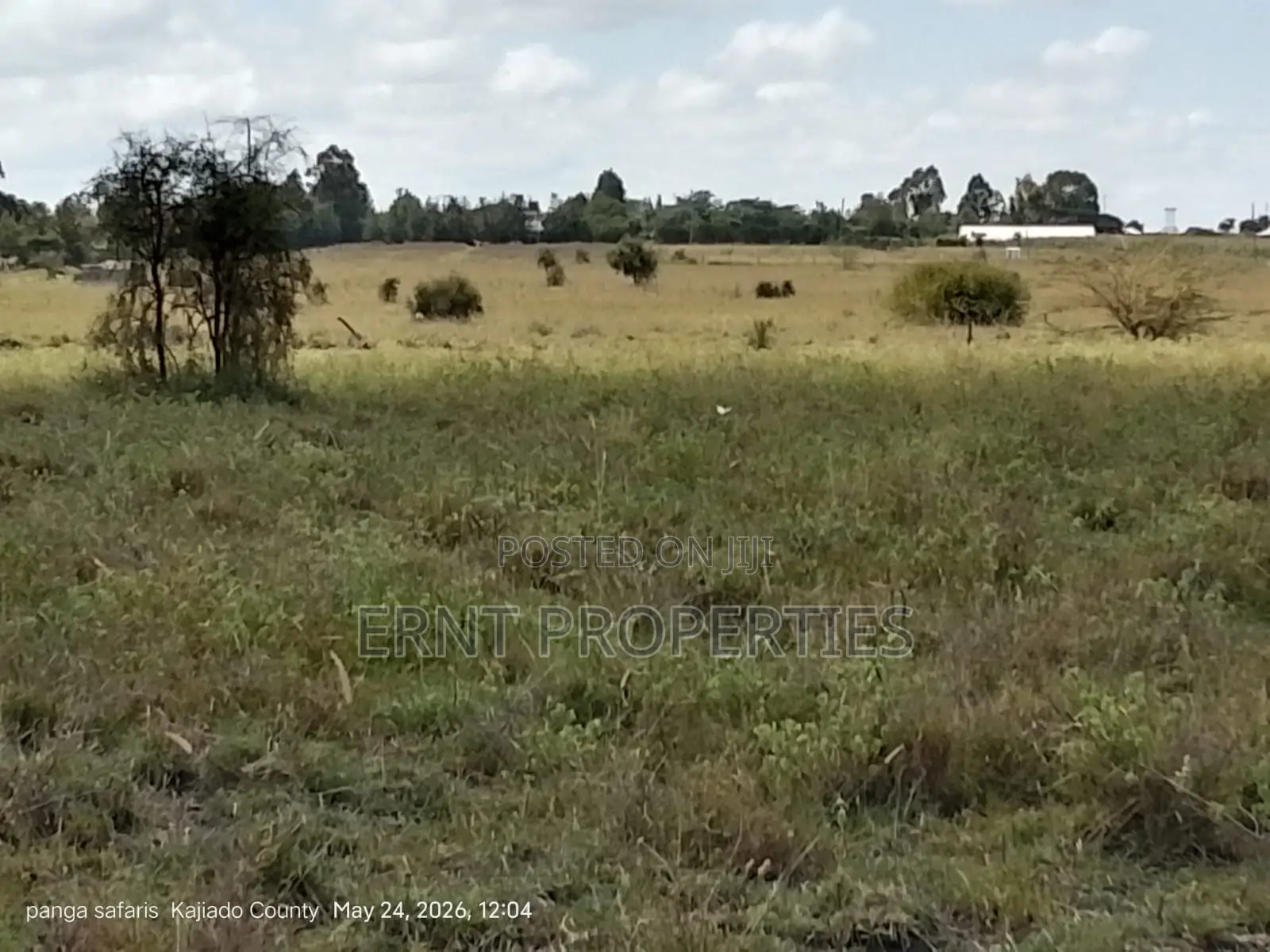 Quick Sale Alert. 2 Adjacent Quarter Acre Plots at KSH Each