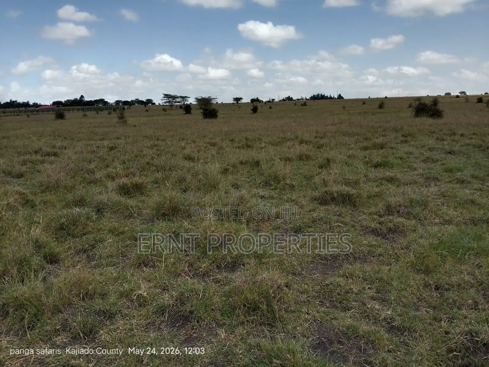 Quick Sale Alert. 2 Adjacent Quarter Acre Plots at KSH Each