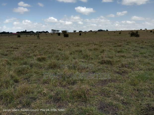 Quick Sale Alert. 2 Adjacent Quarter Acre Plots at KSH Each - thumbnail 2