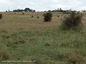 Quick Sale Alert. 2 Adjacent Quarter Acre Plots at KSH Each