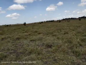 Quick Sale Alert. 2 Adjacent Quarter Acre Plots at KSH Each