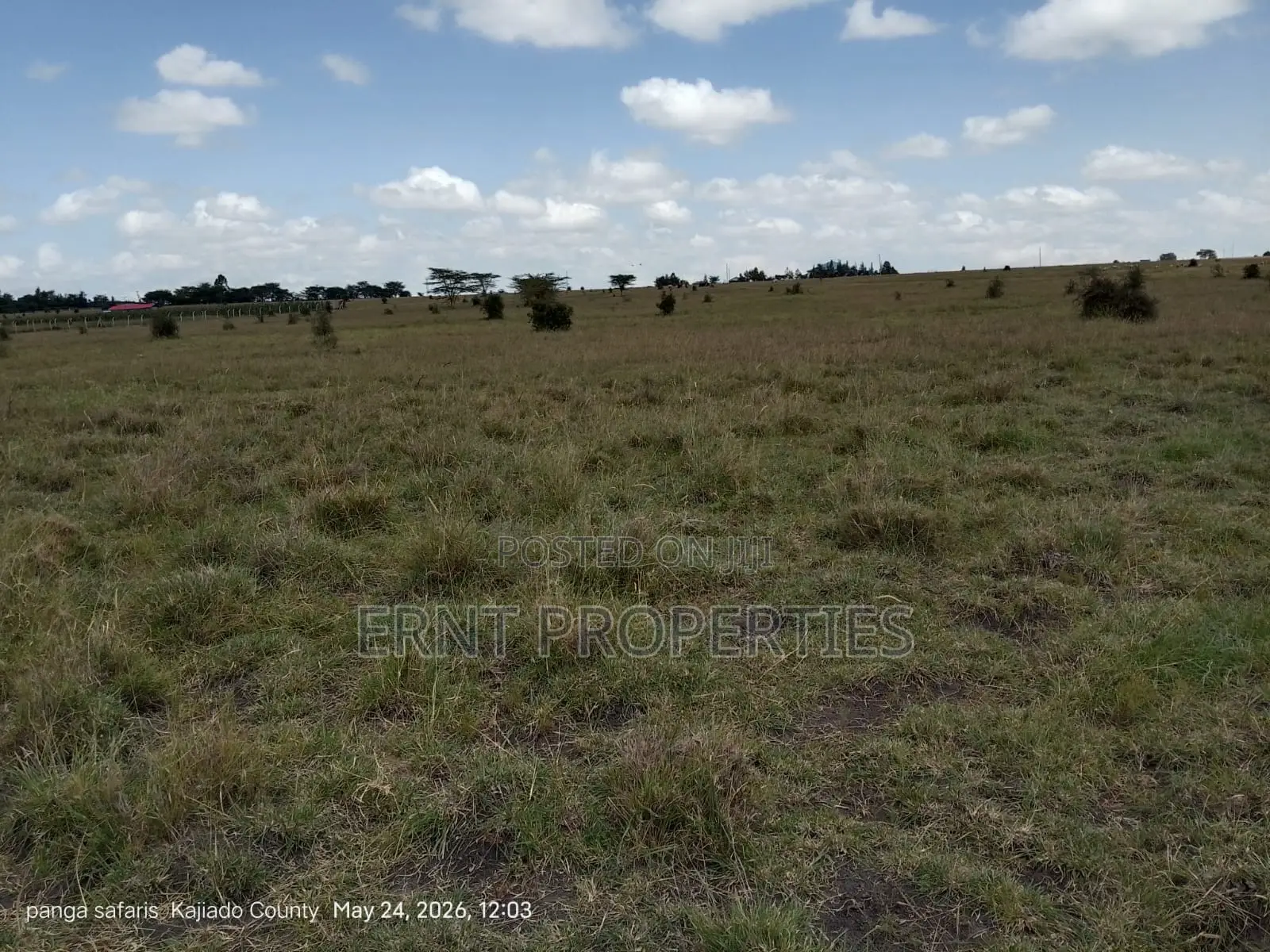 Quick Sale Alert. 2 Adjacent Quarter Acre Plots at KSH Each