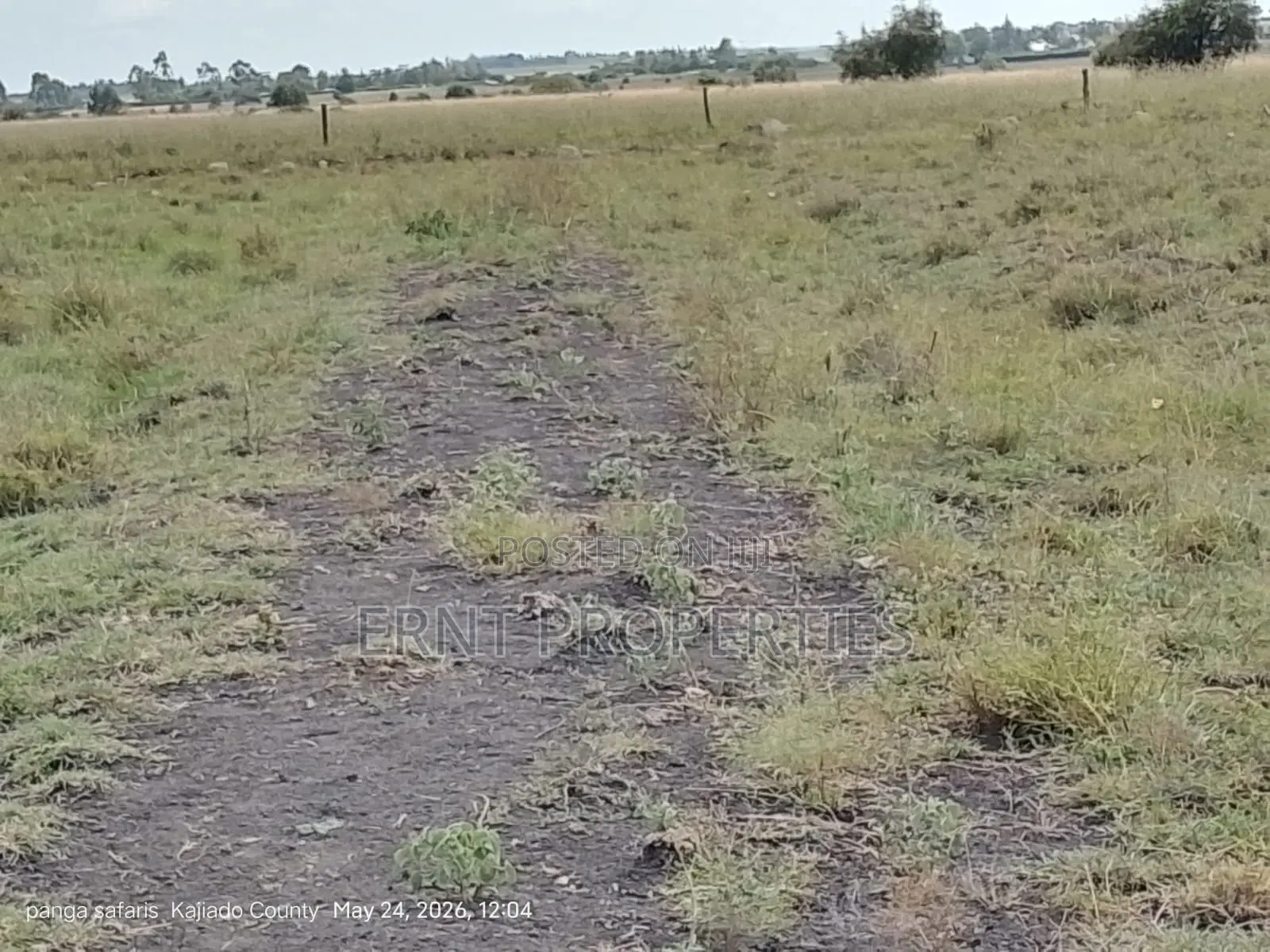 Quick Sale Alert. 2 Adjacent Quarter Acre Plots at KSH Each