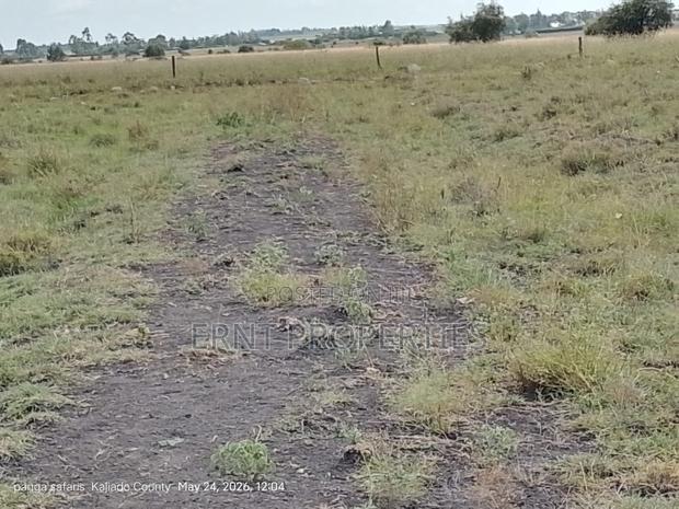 Quick Sale Alert. 2 Adjacent Quarter Acre Plots at KSH Each - thumbnail 8