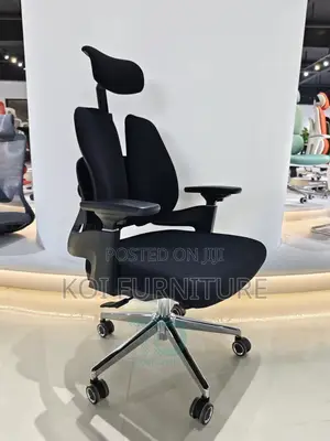 Office Chair : Hg12 Dual Orthopedic High-Back Office Chair